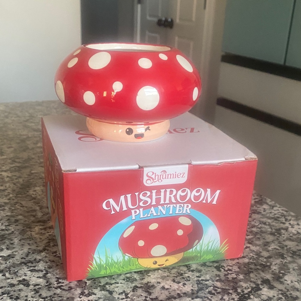 NWBOX SHRUMIEZ Mushroom Planter